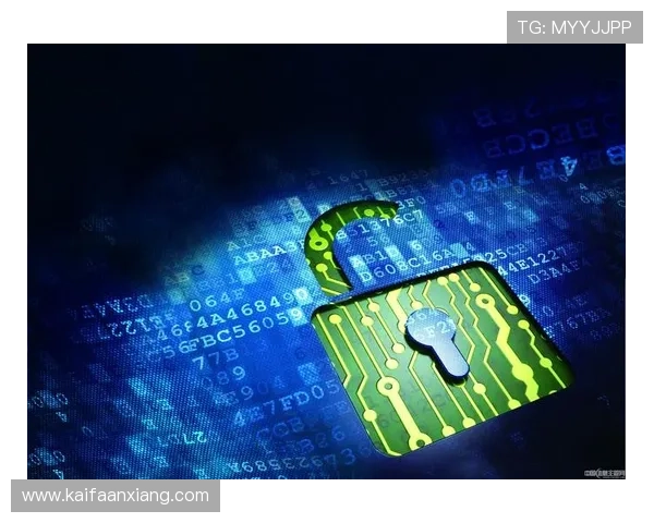 K8电子官网的技术支持与安全保障措施全面解析