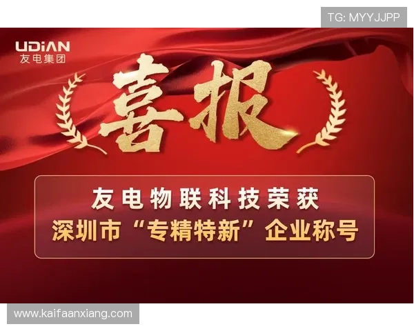 K8凯发中国官网最新登录入口及安全保障指南,帮助用户顺利进入平台体验优质游戏服务